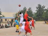 天空VS自由人直播_天空VS自由人免费高清直播_今日拉脱维亚U17女篮vs科特迪瓦U17女篮直播